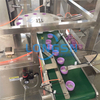 2022 Hot Sale Automatic Plastic Cap Wad Insertion Machine Cap Wadding Machinery